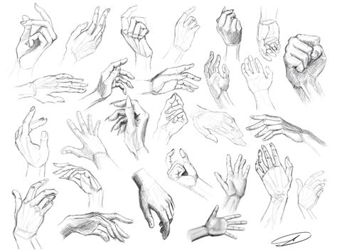 Artstation Hand Anatomy 1