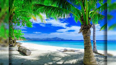 Beautiful Beach Backgrounds 69 Pictures