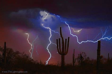 Saguaro Lightning Storm Lightning Photography Lightning Art Fine