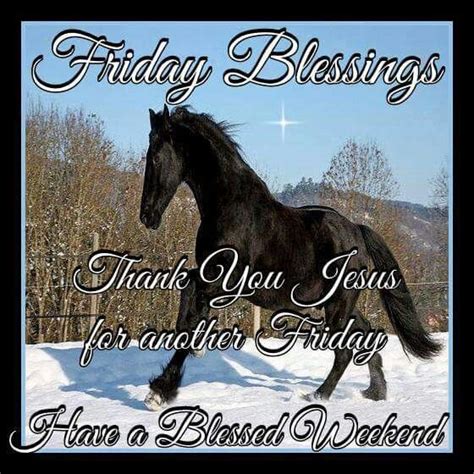 Horse Friday Blessing And Weekend Blessing Pictures Photos And Images