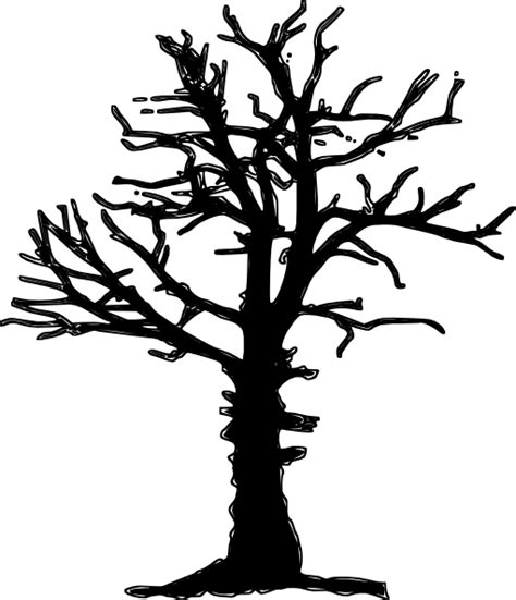 A Dying Tree Png Transparent A Dying Treepng Images Pluspng