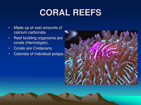 Ppt Coral Reefs Powerpoint Presentation Free Download Id