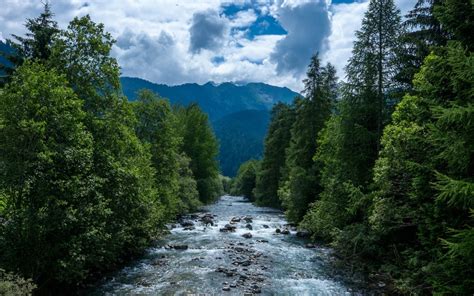 Download Wallpapers Mountain River Forest Mountain Landscape Summer