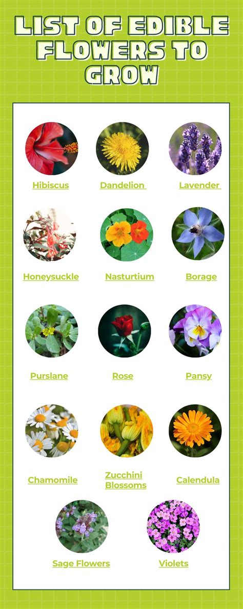 List Of Edibles Flowers In 2021 List Of Edible Flowers List Of