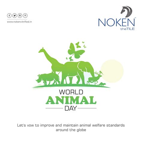 Animal Welfare By Country - Photos All Recommendation