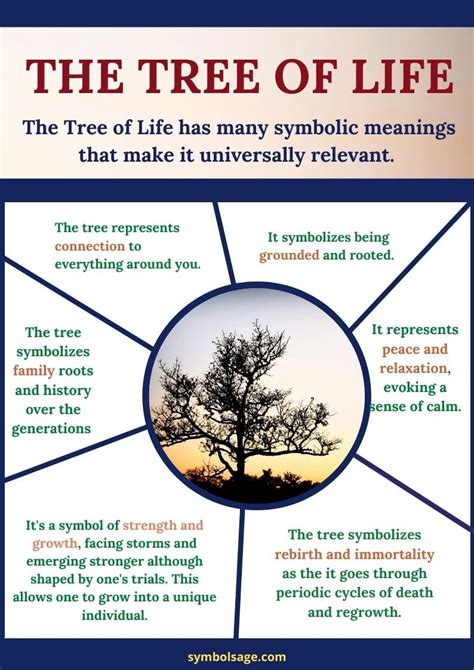 Tree Of Life Symbol Hva Det Egentlig Betyr Educatieve Contexten