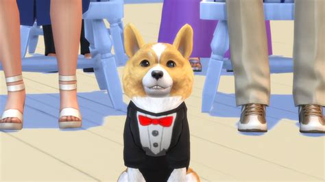 The Sims 4 Cats And Dogs 10 Things To Get Excited About