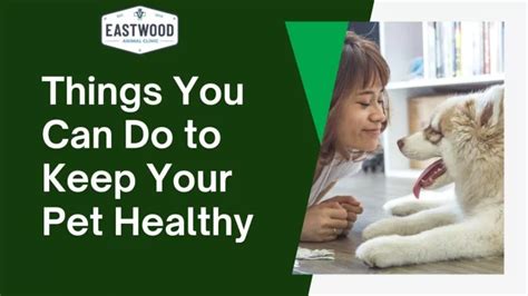 Ppt Things You Can Do To Keep Your Pet Healthy Powerpoint