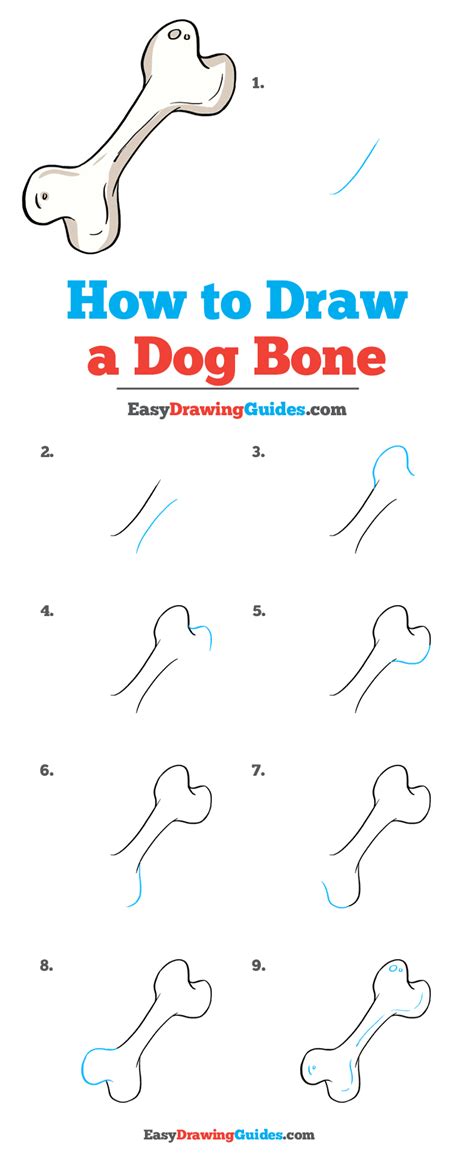 How To Draw A Dog Bone Really Easy Drawing Tutorial Drawing