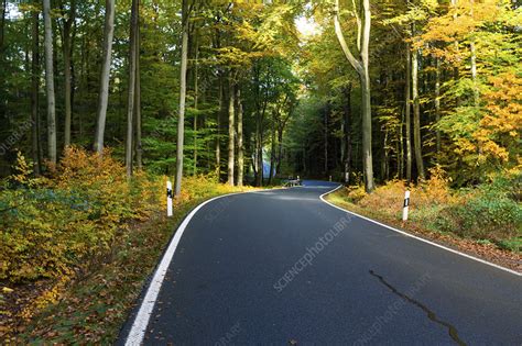 Road Through Forest Stock Image F0130909 Science Photo Library