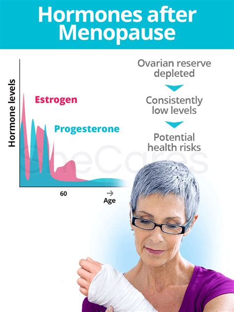 Hormones And Menopause Shecares