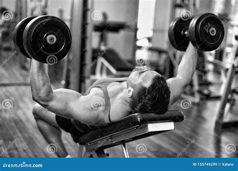 Chest Workout On Bench Press Stock Image Image Of Lifestyle