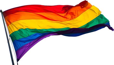 Pin amazing png images that you like. History of the Pride Flag - Sexual History Tour