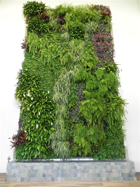 Living Green Walls, Vertical Gardens - Ambius | Vertical green wall, Vertical garden, Vertical ...