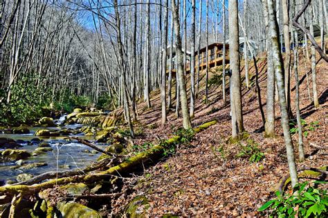 Established in 1920, nantahala national forest sprawls out along 531,148 acres in north carolina's southwest region. Cabin for Rent in Nantahala National Forest