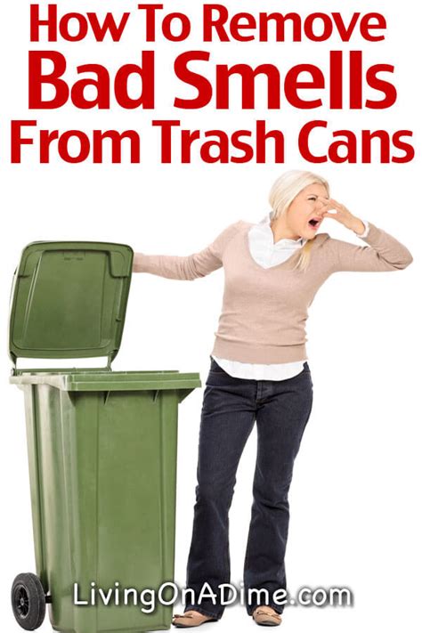 How To Remove Bad Smells From Trash Cans Books And More Living On A Dime