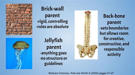Parenting Today Brickwall Jellyfish Backbone Jennifer Casa Todd