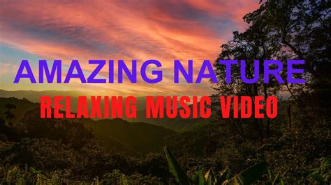 Nature Meditation Video Meditation Healing Nature Zen Music Sleeping