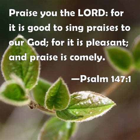 Psalm 1471 Praise You The Lord For It Is Good To Sing Praises To Our