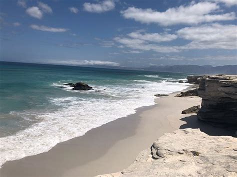 Walker Bay Nature Reserve Hermanus 2020 All You Need To Know Before