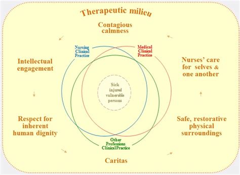 The Therapeutic Milieu Careful Nursing