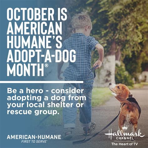 October Is Adopt A Dog Month Latf Usa News