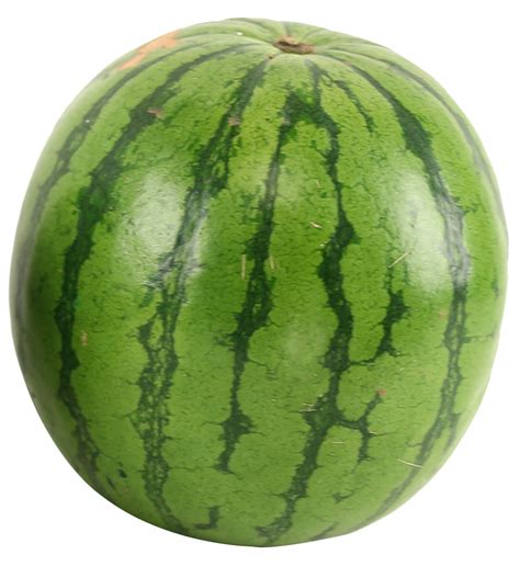 Water Melon Png Free Logo Image