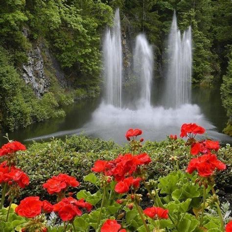 Flower Waterfall 3d Wallpaper Full Hd Nature Pictures