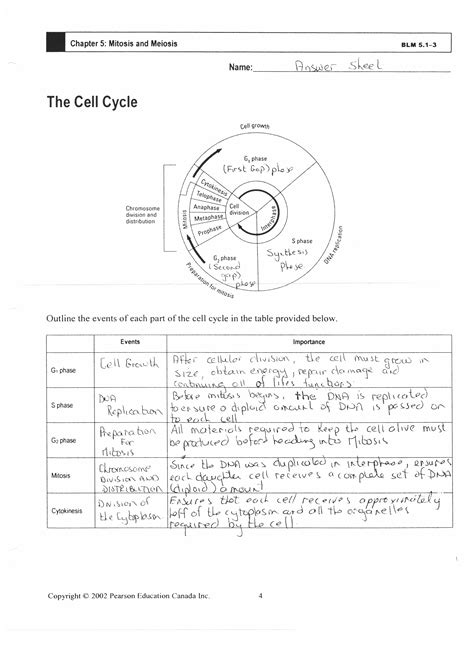 Labeling the water cycle worksheet answers. Identifying Processes Meiosis Worksheet Answers ...