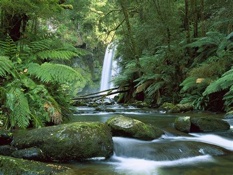 Hopetoun Falls Aire River Otway National Park Victoria Australia