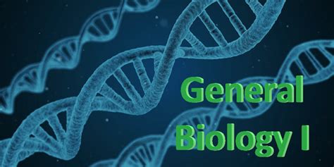 Gen Bio 1 Review Questions Diagram Quizlet