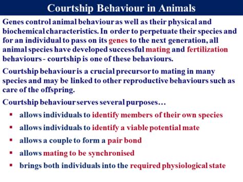 345 Courtship Behaviour Teaching Resources