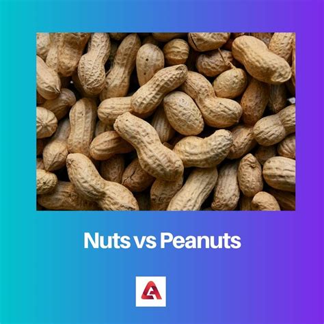 Nuts Vs Peanuts Difference And Comparison