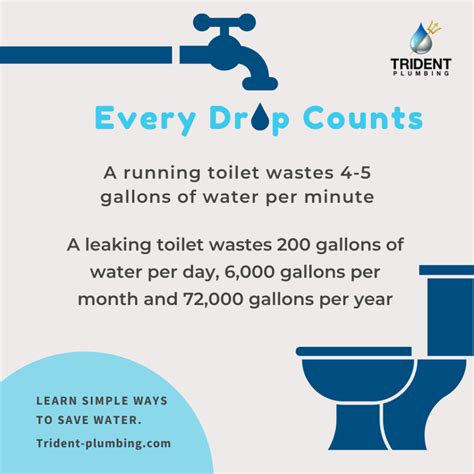 Fun But Costly Plumbing Facts Trident Plumbing