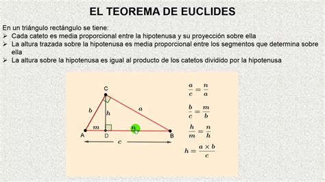 Matematica Primer Nivel Medio Educ Adultos Teorema De Euclides