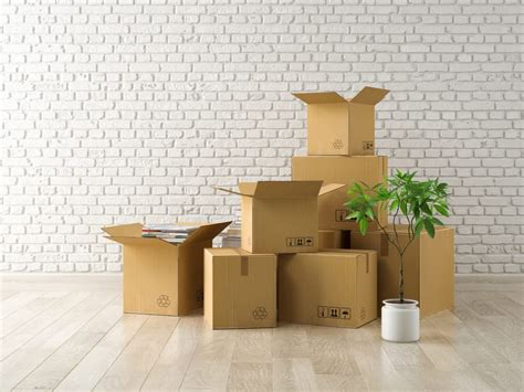Movers San Diego Sunshine Moving Services