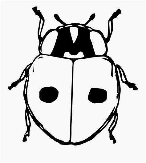 Gambar corner bunga hitam putih download gratis clip. Transparent Ladybug Clipart Black And White - Gambar ...