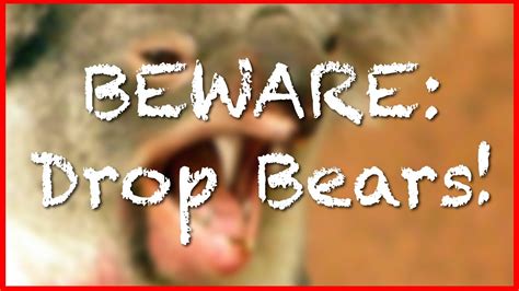 Beware Of Drop Bears Youtube
