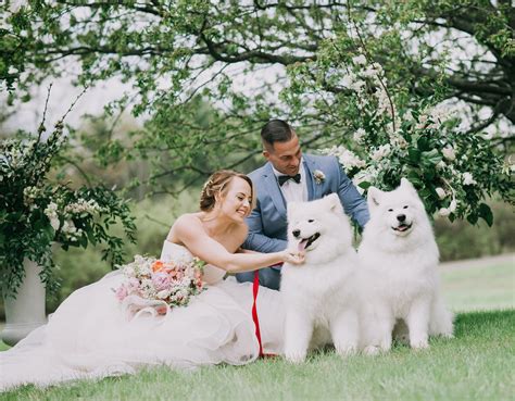 Mowfield Wedding Photos With Dogs Maine Wedding Photographer Kim