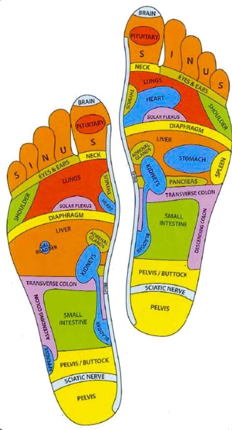Reflexology Foot Chart Foot Massage Health Facts Health Info Health And Nutrition