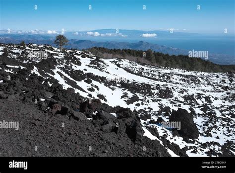 Snowy Volcanic Rock Of Old Lava From Footpath To Mount Etna North East