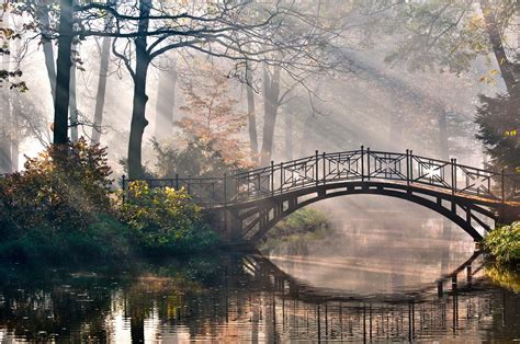 Free Download Wallpaper Park River Bridge Sun Autumn Forest Desktop