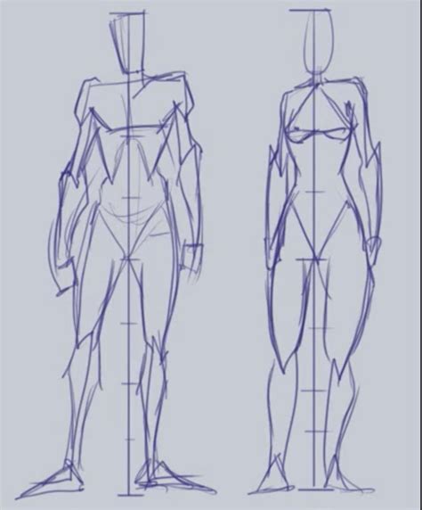 Simple Sycra Anatomy Body Reference Drawing Anatomy Reference Art