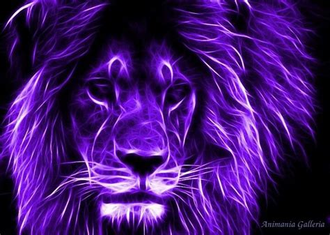 Beautiful Purple Lion Random Things I Like Pinterest
