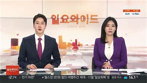 경찰 고 손정민 친구 유기치사 혐의 증거 불충분 동영상 Dailymotion