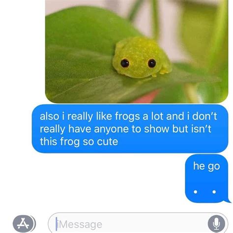 Toads Maybe Frogs On Instagram The Actual Reason I Made This Account