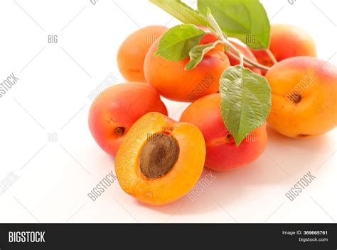 Fresh Apricot Leaf On Image And Photo Free Trial Bigstock