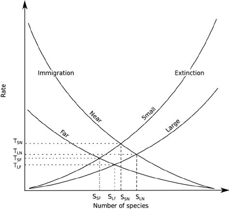 Dynamic Equilibrium Model Of Island Biogeography The E Ff Ects Of Download Scientific Diagram