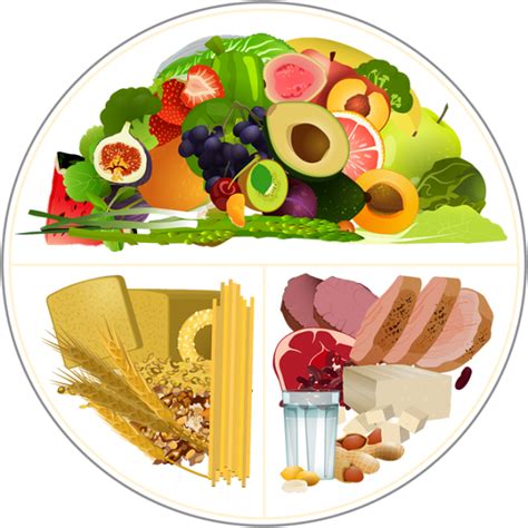 Diabetes Plate Method A Visual Guide To Eating Healthy Food Alma Health