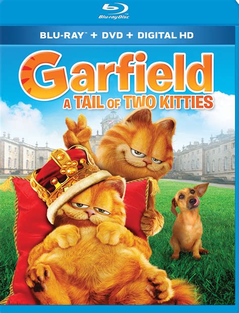 Garfield A Tail Of Two Kitties Blu Ray Dvd Discs Best Buy